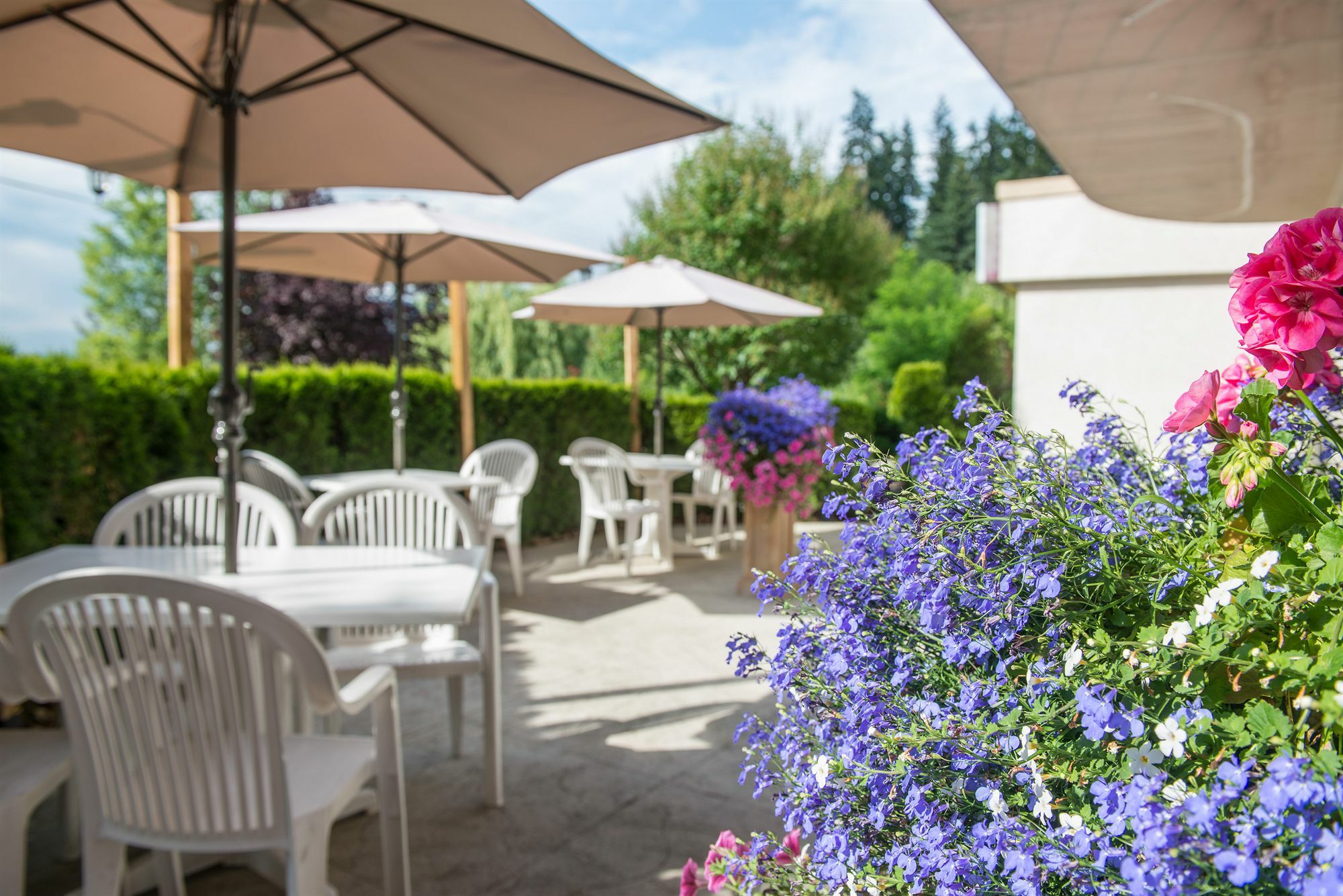 Hilltop Inn - Salmon Arm Εξωτερικό φωτογραφία